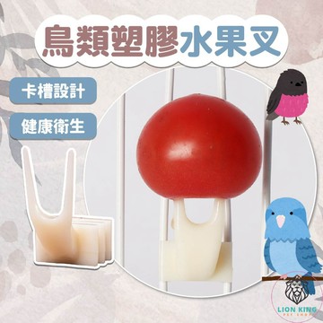 【獅子王寵物】🦁鳥用小寵水果叉 塑膠水果叉 小寵水果叉 果蔬叉 鳥用餵食器 固定蔬果 鳥類 鸚鵡 蜜袋鼯 B084
