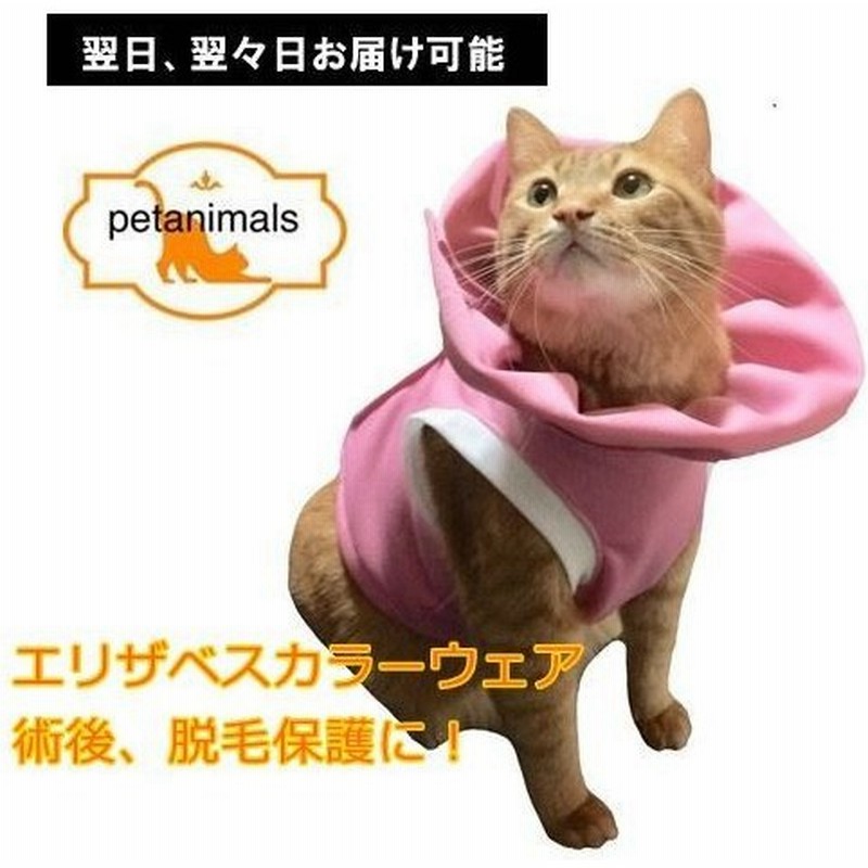 ☆送料無料☆ 当日発送可能 猫 用品 病院 手術 後 服 キャットガードスーツ ピンク XSサイズ ねこ ネコ キャット エリザベスカラー ウェア 猫用品  お洋服 猫服 可愛い CAT 送料無料 qdtek.vn