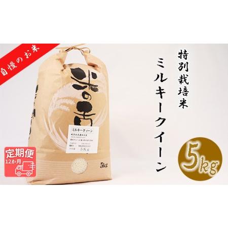 ふるさと納税 垂井町産ミルキークイーン(5kg×12回） 岐阜県垂井町