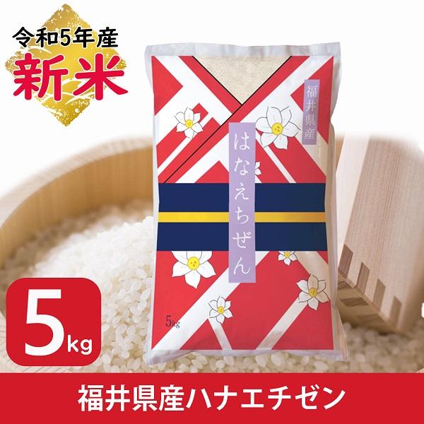 新米 米 ハナエチゼン 5kg 福井県産 白米 令和5年産 送料無料