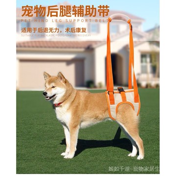 寵物後腿輔助帶高齡老年犬殘疾犬受傷康複助行帶狗上樓助力帶