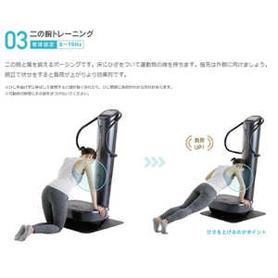 フジ医療器 音波振動フィットネス機器 ダイエットトレーナーコア DT-C1000 | LINEブランドカタログ