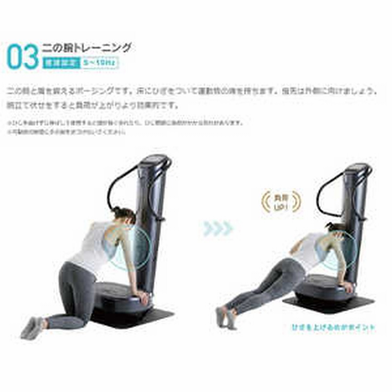 フジ医療器 音波振動フィットネス機器 ダイエットトレーナーコア DT