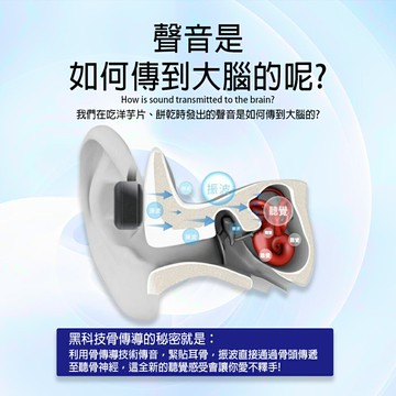 【涉谷數位】BTBS01 藍牙5.3骨傳導藍牙耳機 運動耳機 藍芽耳機 掛耳耳機 無線耳機