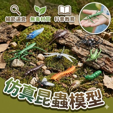 【台灣出貨】昆蟲模型｜仿真昆蟲玩具｜昆蟲認知教具｜兒童科學教材｜動物模型組｜早教學習玩具｜親子互動教具