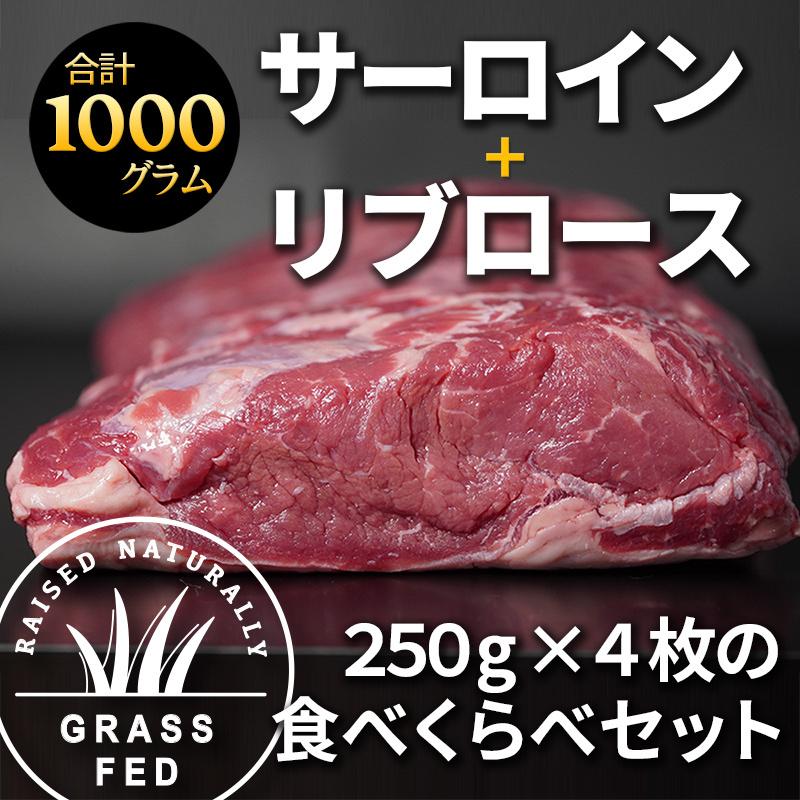 ニュージーランド産 グラスフェッドビーフ サーロインとリブロース ステーキ 約1kg（250g×2パック×2種類）食べくらべセット 個包装