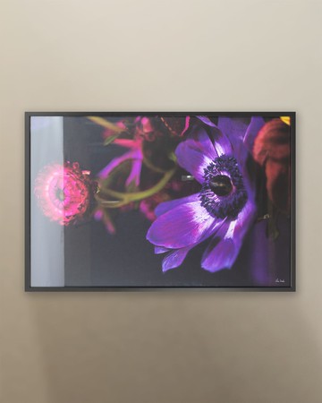 "Botanical Arrangement 1" Photo by Chris Dunker