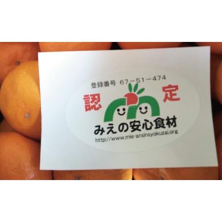 ふるさと納税  フルーツ  早生 興津 温州 みかん 蜜柑 三重県  高品質 みえ アルギット 訳あり   訳あり Lサイズ 前元農園の完熟早生(興津)温州.. 三重県紀宝町