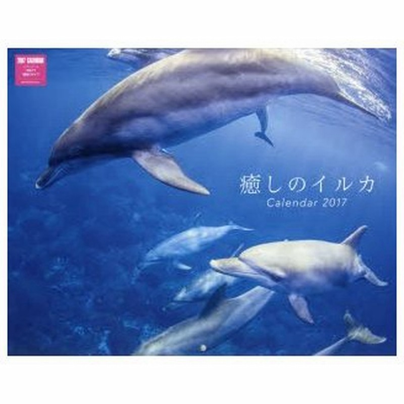 新品本 カレンダー 17 癒しのイルカ 通販 Lineポイント最大0 5 Get Lineショッピング