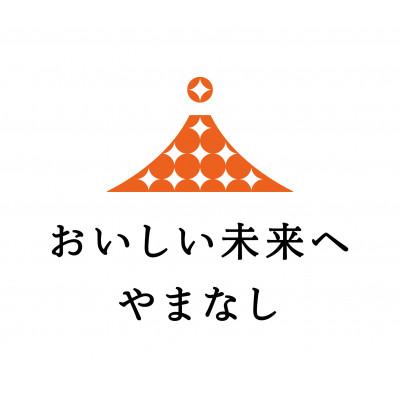 ふるさと納税 山梨県 ロースステーキ(180g×2枚)・肩ローススライス(500g)