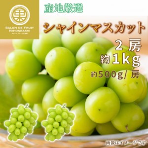 [最短順次発送]  シャインマスカット 2房 約500g 計約1kg 産地厳選 マスカット ぶどう ブドウ 葡萄 果実箱 夏ギフト お中元 御中元