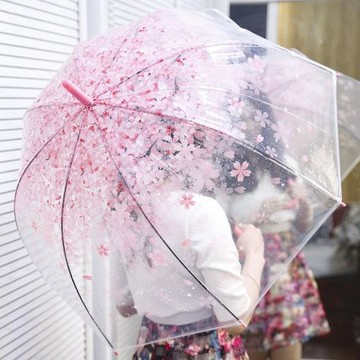雨傘女晴雨兩用日系粉色少女心ins傘森系復古簡約兒童櫻花透明傘