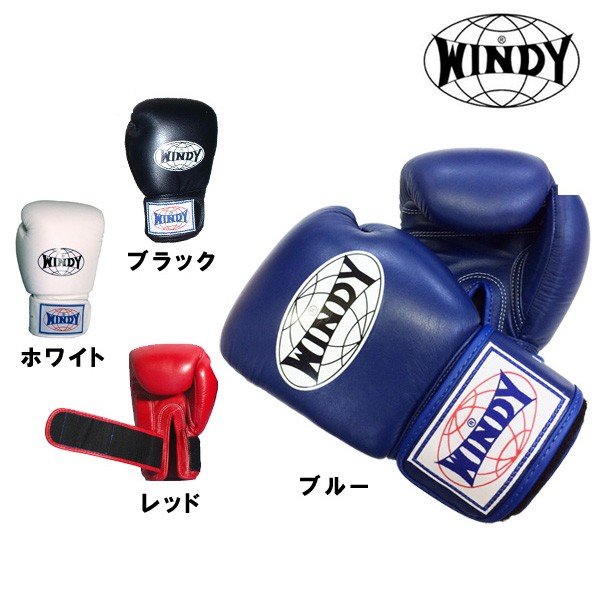 TWINS WINDY ボクシング トレーニングセット - www.vetrepro.fr