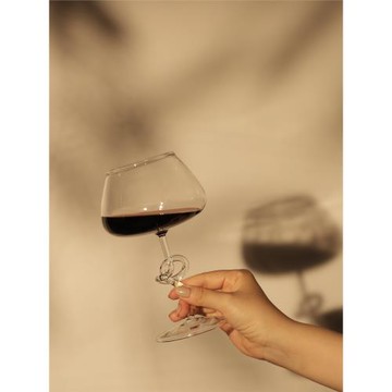 邊集EDITOR on a manner 透明扭結酒杯異形玻璃玫瑰花紅酒杯禮物