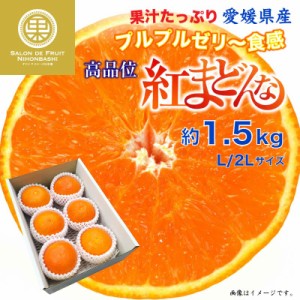 [予約 12月31日必着] 紅まどんな 約1.5kg L 2L 愛媛県 化粧箱 冬ギフト お歳暮 御歳暮 大晦日必着