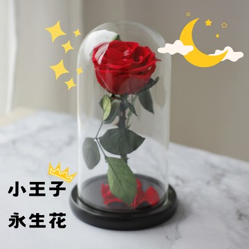 【花花市集】花花市集 情人節送禮 聖誕節交換禮物 生日禮物 Little Prince 小王子永恆唯一永生恆星花禮