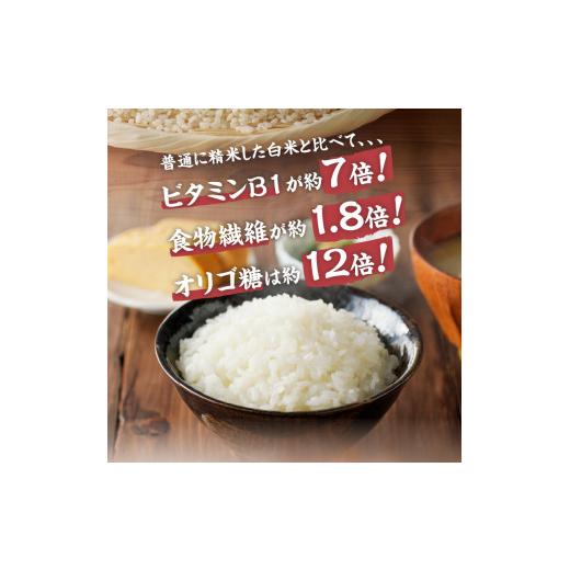 ふるさと納税 山梨県 北杜市  金芽米特別栽培米農林48号2kg×２