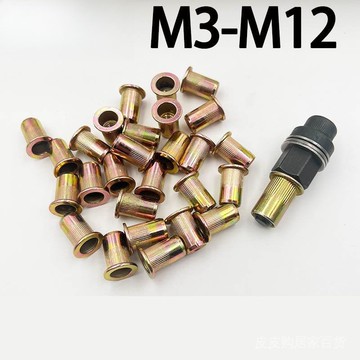 拉鉚螺母簡易工具家用汽車牌照鐵皮手動拉母頭平頭拉鉚螺母鉚釘