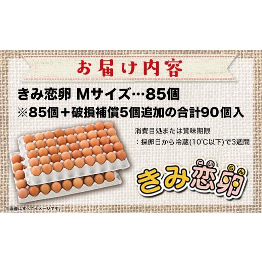 ふるさと納税 宮崎県 都城市 新鮮赤卵「きみ恋卵」85個_AO-2901_(都城市) 赤卵 きみ恋卵 Ｍサイズ 85個 90個 卵かけご飯 ゆで卵 お菓子作り