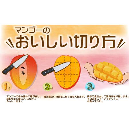 ふるさと納税 ご家庭用でも極上に美味しい完熟アップルマンゴー5kg　農園直送！ 沖縄県大宜味村