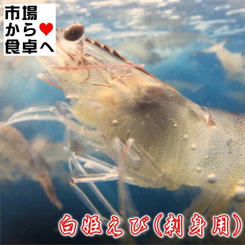 白姫えび 有頭バナメイ海老・刺身用 2箱500g(約23本)鹿児島県産・海水養殖IQFバラ凍結「甘味・旨味」の強い海老です冷凍便