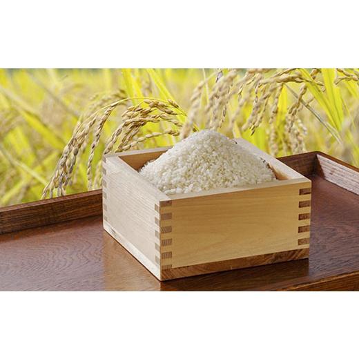 ふるさと納税 京都府 福知山市 京都丹波産　コシヒカリ米（精米）5kg×2  ふるさと納税 米 新米 精米 コシヒカリ 京都府 福知山市