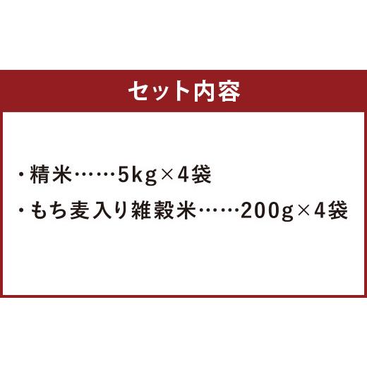 ふるさと納税 熊本県 菊池市 熊本県菊池産 ヒノヒカリ 精米 計20kg(5kg×4袋) もち麦入り雑穀米 計800g(200g×4袋)米 お米 低温保管 残留農薬ゼロ