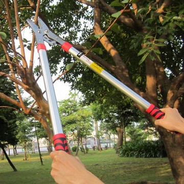 【可開發票】剪刀 高枝剪 修枝剪 園藝剪刀 高枝鋸 修枝鋸 修樹粗枝剪刀修枝剪枝伸縮大力剪刀片修剪樹枝剪園藝園林剪枝