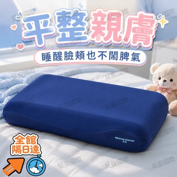 💖台灣出貨💖 透氣不悶熱 排濕吸汗 夏天涼感枕套 可機洗枕套 不易變形 敏感肌親膚 防汗枕套 梅雨季快乾 好清洗
