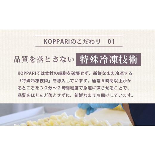 ふるさと納税 沖縄県 石垣市 石垣島産まるごと冷凍マンゴー　2〜5個  約1kg 【ふるさと納税 マンゴー 産地直送 フルーツ 果物 沖縄県石垣市 石垣 …