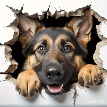 🔥臺灣24h🔥汽車牧羊犬貼紙新款摩託車貼紙筆記本墻麵貼花貼紙3d立體爆款貼紙