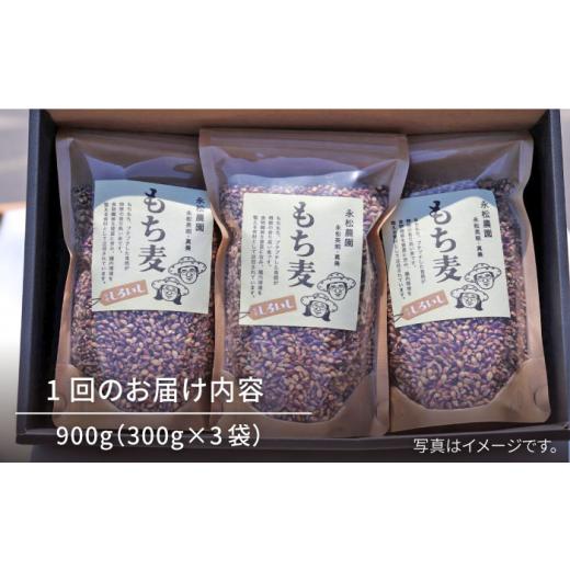 ふるさと納税 佐賀県 白石町 白石産 もち麦 900g（300g×3袋）／回（総計5.4kg） [IAA035]