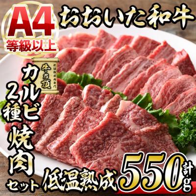 ふるさと納税 佐伯市 おおいた和牛 カルビ 2種焼肉セット (合計550g・赤身カルビ250g カルビ300g)