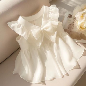 【甜美可愛減齡小飛袖襯衫】白色 法式 小飛袖 蝴蝶結 襯衫 上衣 女 夏季 小衆 獨特 設計感 別緻 清純 純欲風 20