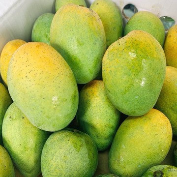 【帕查嬤嬤】🇹🇼屏東 土芒果 10顆🥭｜台灣土芒果
