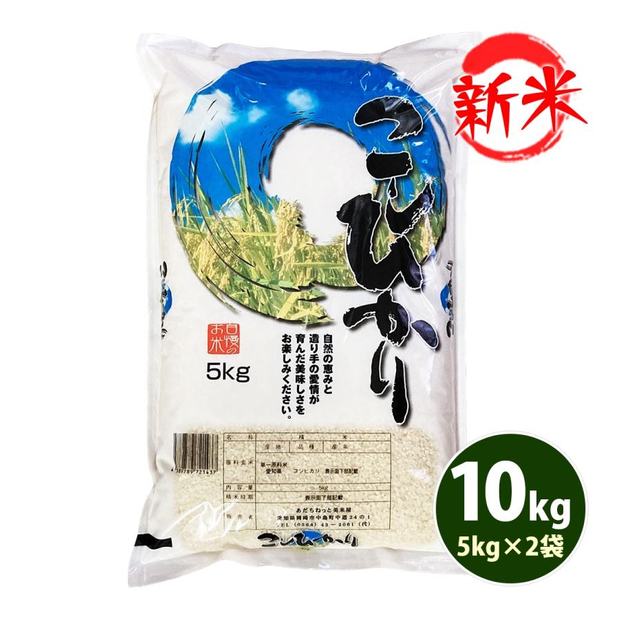 新米 お米 10kg 白米 送料無料 コシヒカリ 5kg×2袋 愛知県産 こしひかり 令和5年産 米 あす着く 食品 北海道・沖縄は追加送料