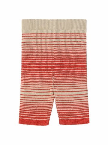Gucci Pants For Boy
