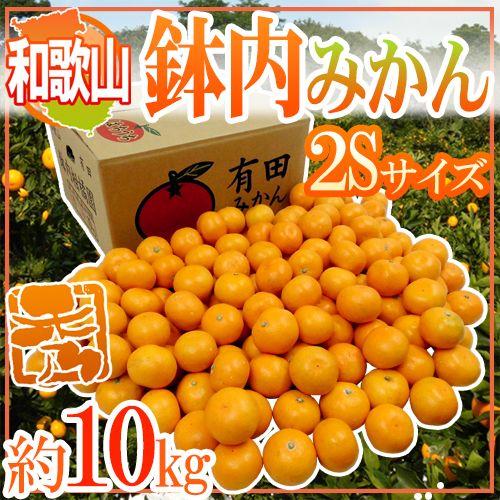 みかん 和歌山・有田産 ”鉢内みかん” 秀品 2Sサイズ 約10kg はちうちみかん 送料無料