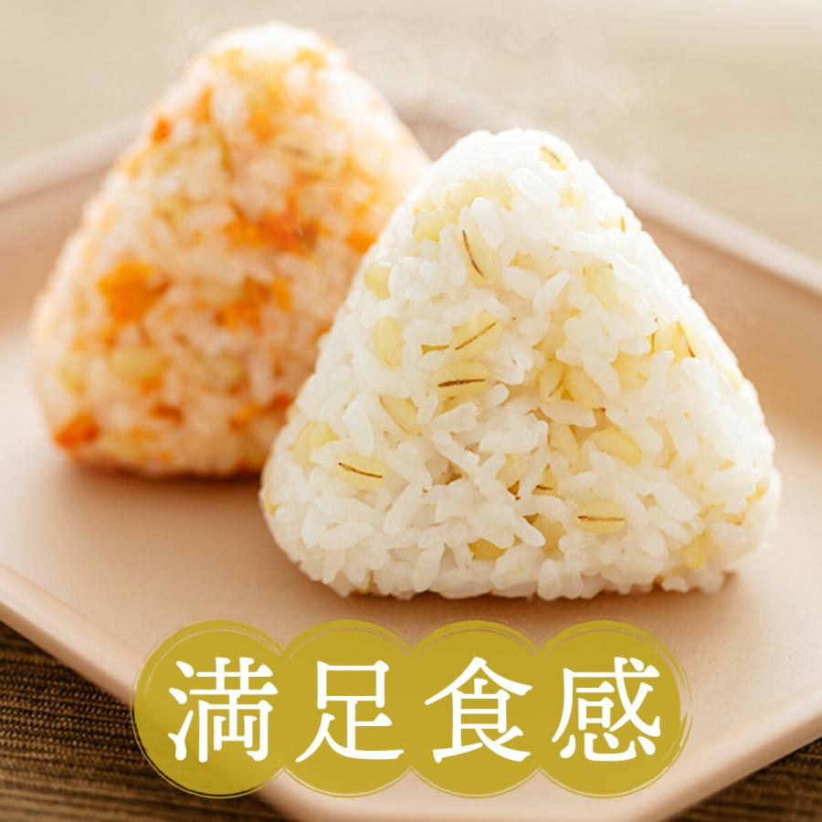 黄金のもち麦 1kg (500g×2個)もち麦ごはん もち麦 国産 九州産 機能性表示食品