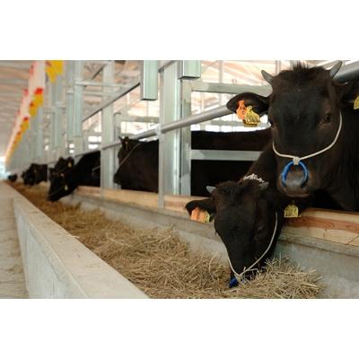 ふるさと納税 多気町 松阪牛しゃぶしゃぶ(ロース・肩ロース)400g(多気町)