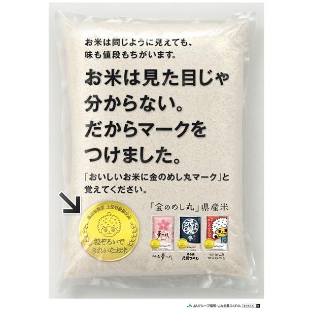 元気つくし 金のめし丸マーク付 福岡県産 10kg(5kg×2) 精米 令和5年産・新米