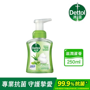 滴露除菌泡沫潔手液(滋潤蘆薈)250ml*1瓶