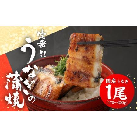 ふるさと納税 定番！うなぎの蒲焼き 福岡県柳川市