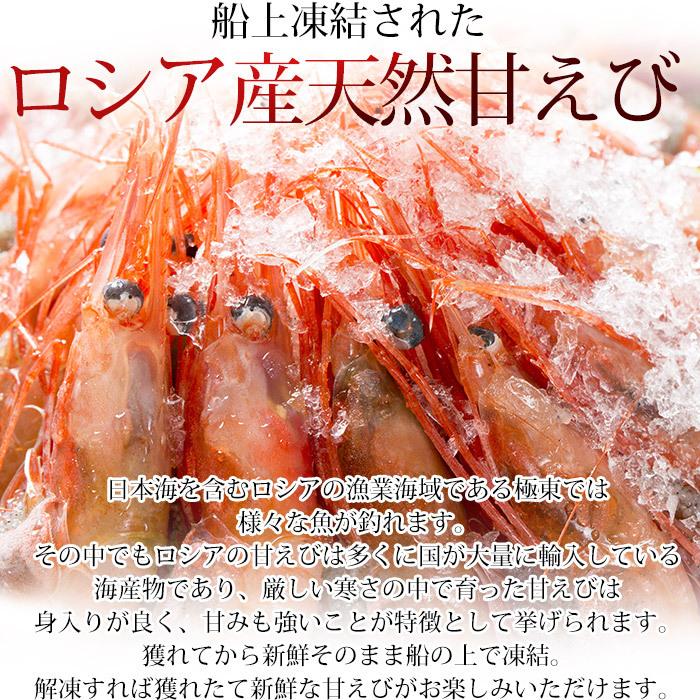 エビ 船上凍結天然甘えび 合計約1kg 2L〜3Lサイズ 46〜57尾