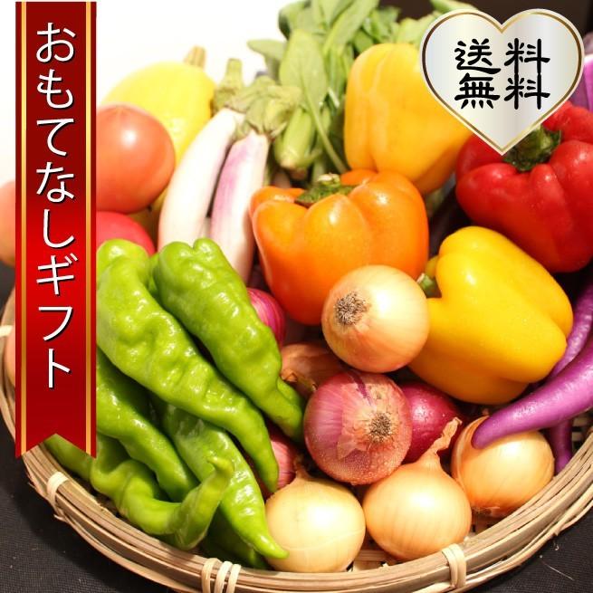 三浦野菜セット　三浦半島の畑で作られた野菜の７種セット　2〜3人用　おもてなしギフト