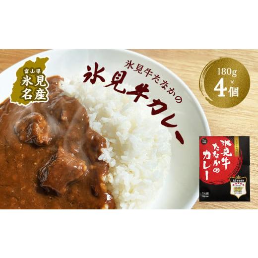 ふるさと納税 富山県 氷見市 氷見牛たなかのカレー　180g×4個セット 富山県 氷見市 カレー 牛肉 惣菜 加工品 レトルト 4人前