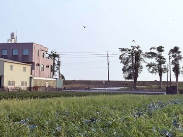 和發工業區旁*都內農地｜高雄市大寮區翁公園段二小段
