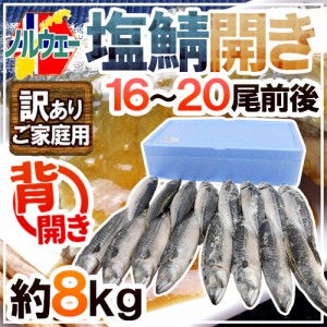 ノルウェー ”塩鯖開き” 訳あり 16～20尾前後 約8kg 背開き 塩サバ 送料無料