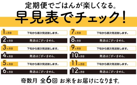 ＜新米発送＞《奇数月お届け》ななつぼし 2kg×2袋 《真空無洗米》全6回