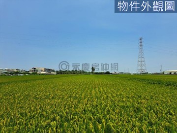 高雄大學頂塩田方正農地★歡迎來電洽詢★｜高雄市橋頭區頂塩田段